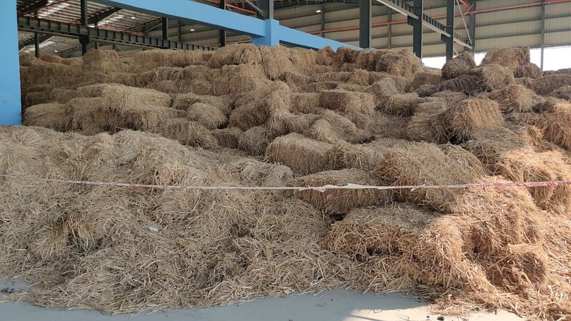 Storage area for dry rice straw at IOCL's 2G ethanol plant | Pooja Kher | ThePrint