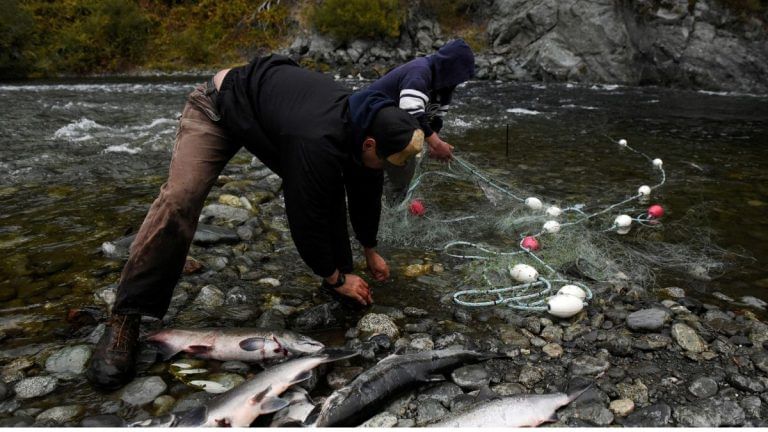 US approves largest dam removal in history to save endangered fish