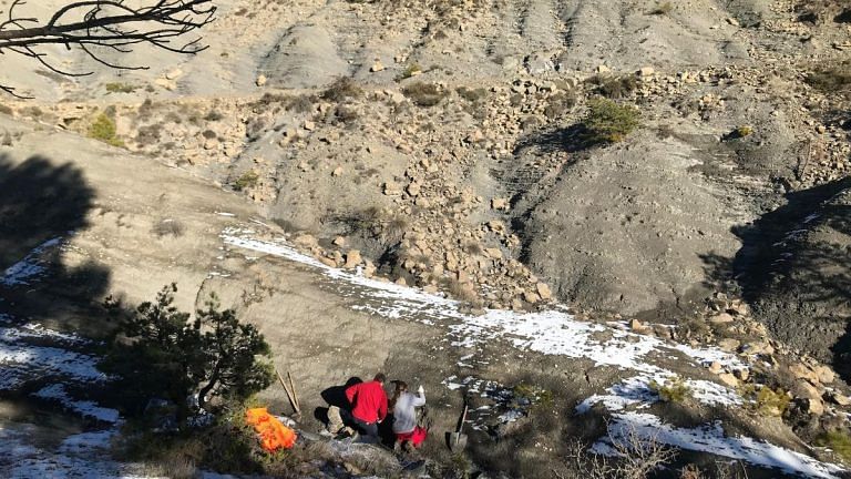 Car-sized remains of sea turtle from dinosaur age unearthed in Spain