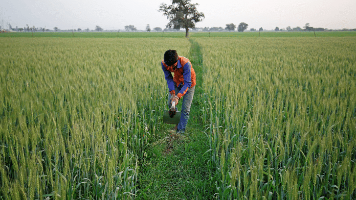A farmer works in wheat field on the outskirts of Ahmedabad, India February 1, 2018. Reuters/Amit Dave/File Photo