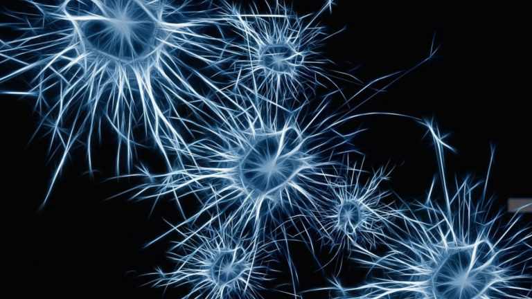 Should lab-grown brain cells have rights? They have sentience, play ‘pong’, research shows