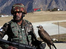 A soldier with 'Arjun', a black kite trained to down enemy drones, during the Yudh Abhyas exercise being held in Auli, Uttarakhand | Suraj Singh Bisht | ThePrint