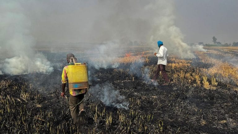 Are farm fires going uncounted? ISRO study suggests farmers have figured out a way to evade satellites