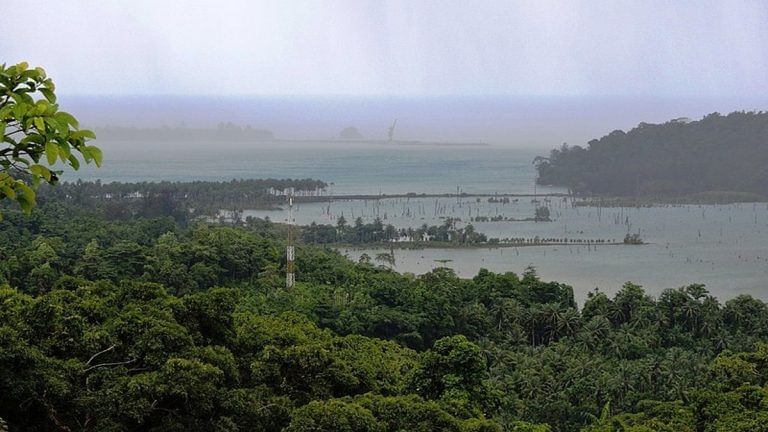 Over 12,000 environment clearances granted to projects in 2022, a 20 times increase since 2018