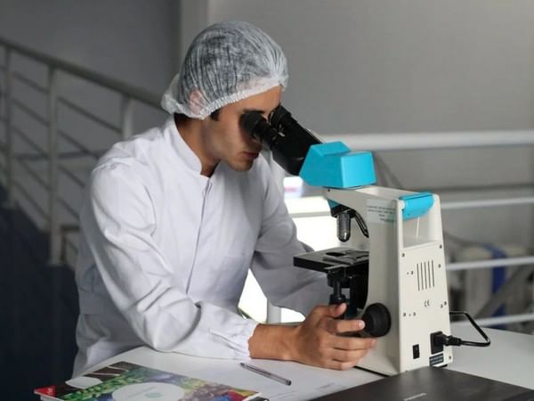 Study: Positively charged nanomaterials treat obesity anywhere you want