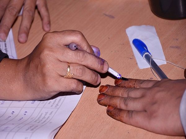 UP bypoll: Mainpuri records a voter turnout of 44.13 pc till 3 pm