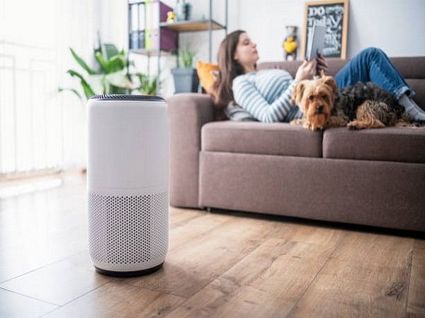 Household air purifiers improve heart health in COPD patients: Research