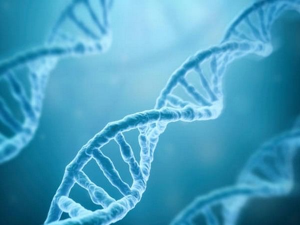 Research finds aging is driven by unbalanced genes