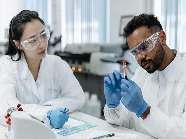Researchers find connection between artificial sweetener, anxiety