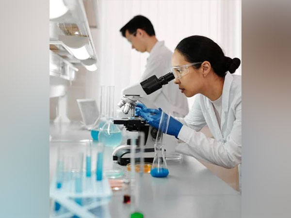 Study finds cells that helps to treat resistance in prostate cancer