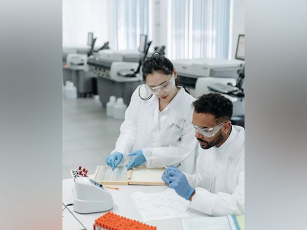 Study: Cell therapy helps to reduce kidney damage from type 2 diabetes