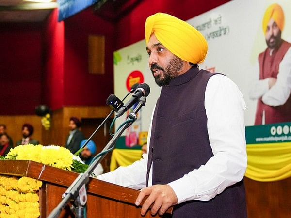 Punjab firmed up Rs 30,000-cr investment in nine months: CM Bhagwant Mann