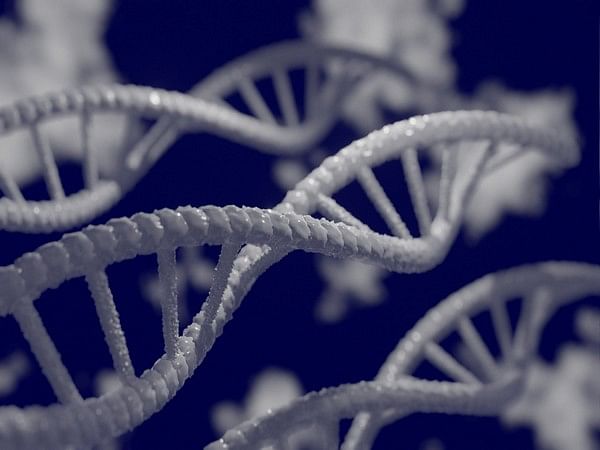 Research: Pair of key enzymes help regulate genome