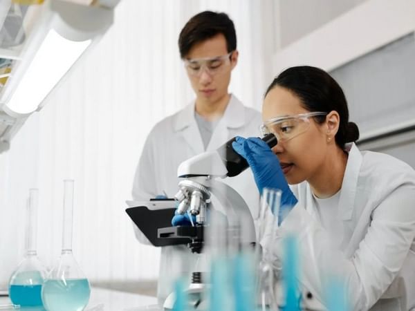Scientists discover inexpensive air purifiers that can be effective to filter out indoor air pollutants Scientists discover inexpensive air purifiers that can be effective to filter out indoor air pollutants