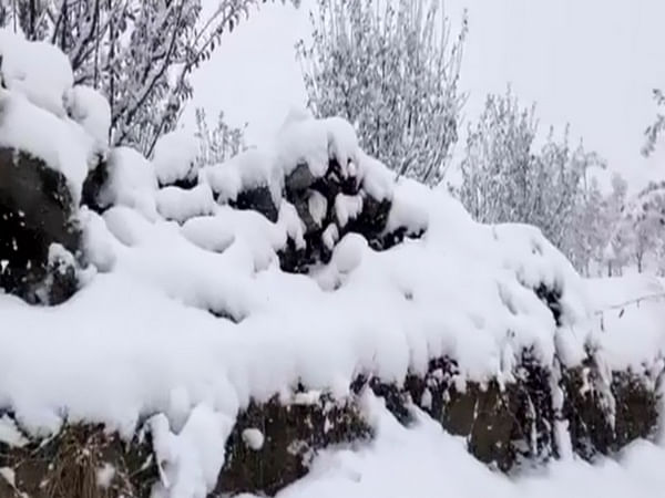 Himachal Pradesh: Lahaul-Spiti receives season's first snowfall