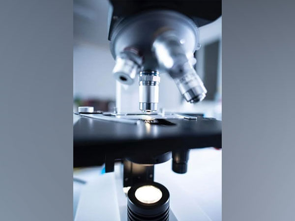 Research: Drying process could be key step in the development of life