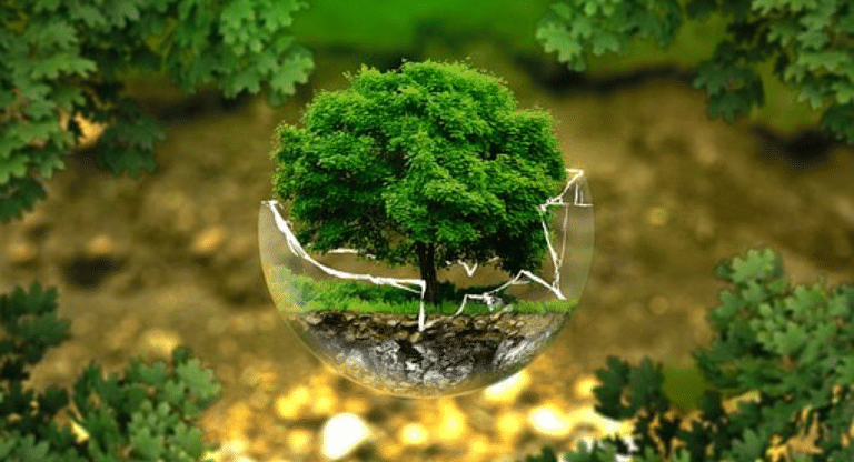 Small projects, big impact—India has lessons for the world on green transformation