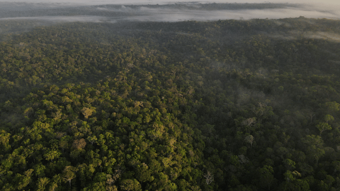 The small Amazon nation of Suriname is among the most forest-rich countries in the world, with canopy covering 93% of its landmass | Reuters/Bruno Kelly