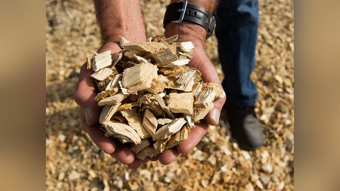 Representational image of biomass | Flickr
