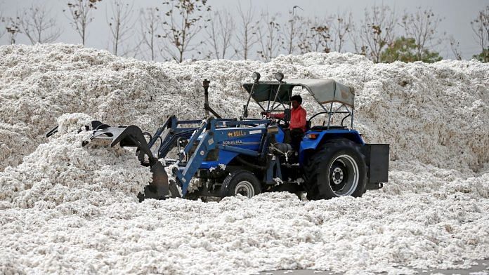 An employee shifts piles of cotton at a cotton processing unit in Kadi town, in the western Indian state of Gujarat, India | Reuters/Amit Dave