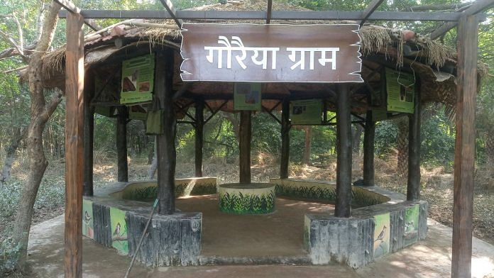Goraiya Gram in Garhi Mandu forest is one of the four planned ‘world class’ urban forests that the Delhi government wants to create | Photo: Krishan Murari/ThePrint