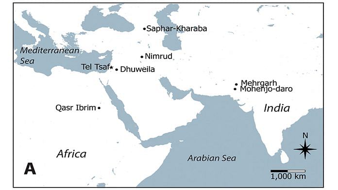 Archaeological sites in the Fertile Crescent where cotton has been found. | Liu et al., Frontiers Plant Science (2022)