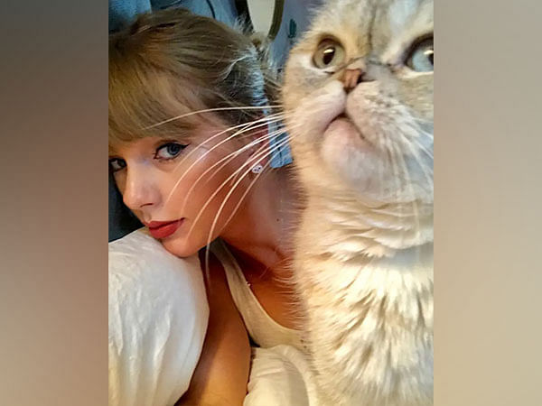 OMG! Taylor Swift's cat worth Rs 800 crore: Reports – ThePrint – ANIFeed