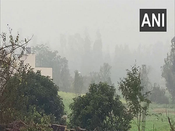 MP: Cold wave breaks all records, Chhatarpur records minimum temperature at 0.2 degree Celsius