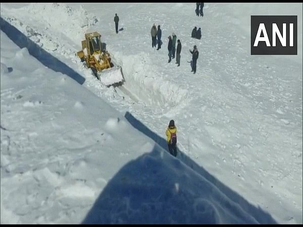 Himachal Pradesh: Tourists rush to Narkanda to experience snowfall –  ThePrint – ANIFeed