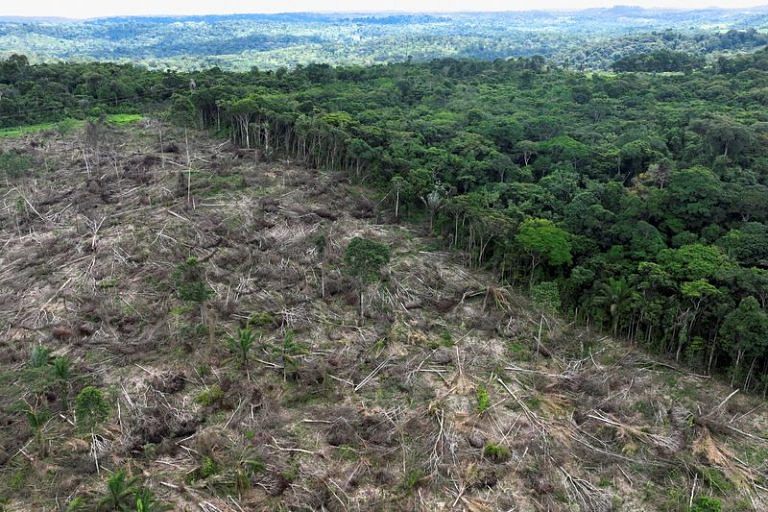 Brazil “looks forward” to environmental bond sale – debt head