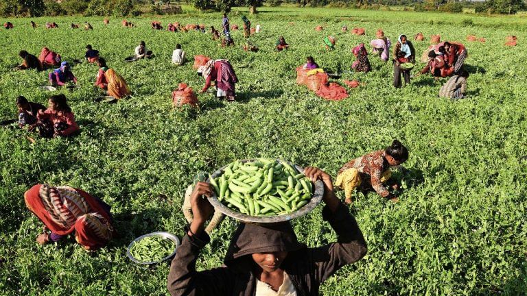 Taxing farmers’ income is ‘necessary’, says Chairman of PM’s Economic Advisory Council