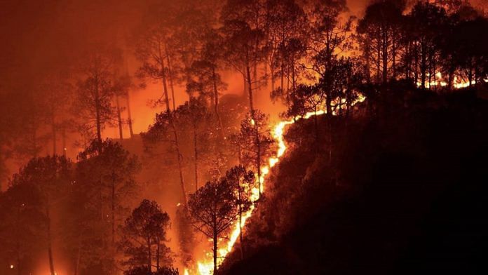 File photo of the 2019 Bandipur forest fire | Commons