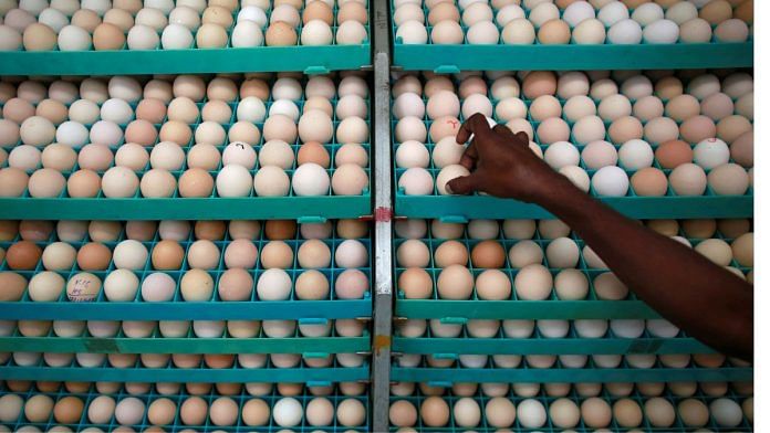 File photo of an employee inspecting an egg in an incubator at an hatchery in Mangaon, south of Mumbai on 2 February, 2015 | Reuters