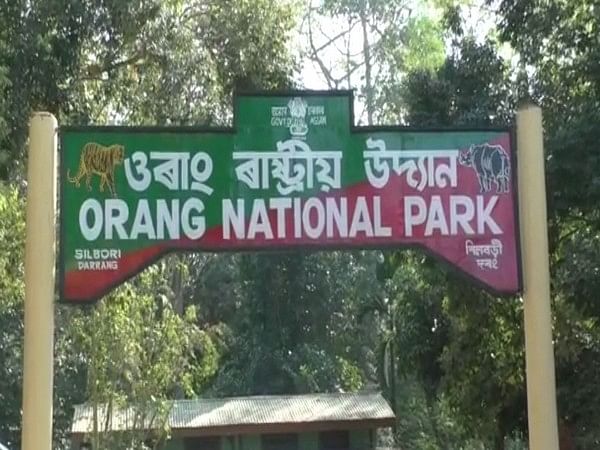 Royal Bengal tiger found dead in Assam's Orang National Park Royal Bengal tiger found dead in Assam's Orang National Park