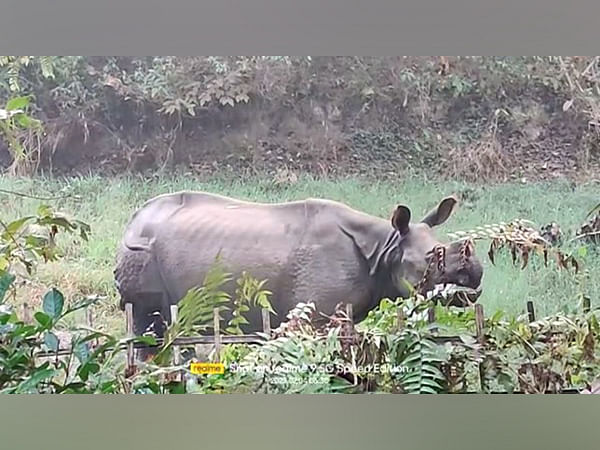 Forest officials injured in rhino attack in Assam's Golaghat – ThePrint