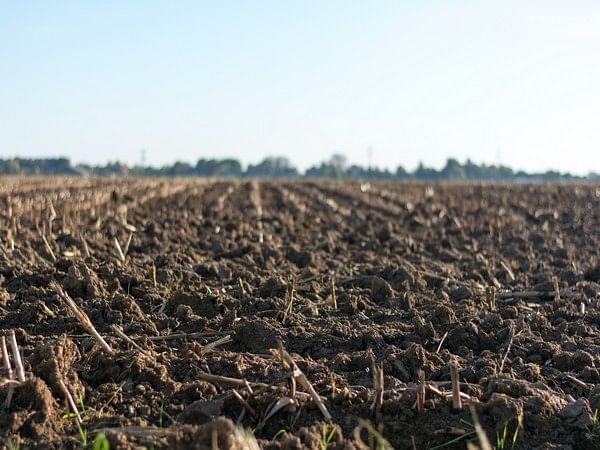 Soil tainted by air pollution releases carbon: Research
