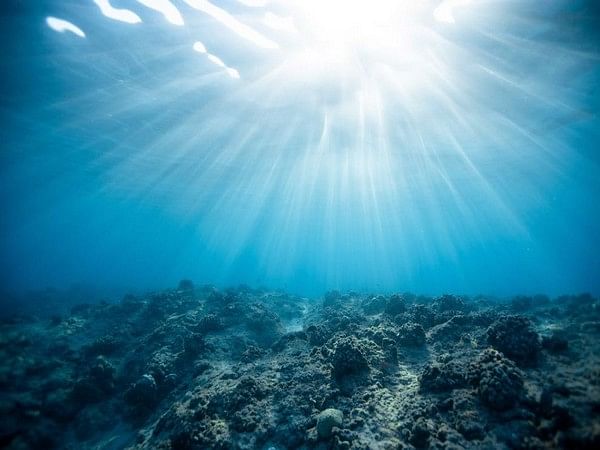 How deep ocean microbes survive without sunlight? Research finds