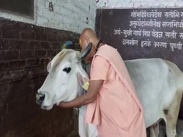 Madhya Pradesh celebrates Cow Hug Day today – ThePrint – ANIFeed