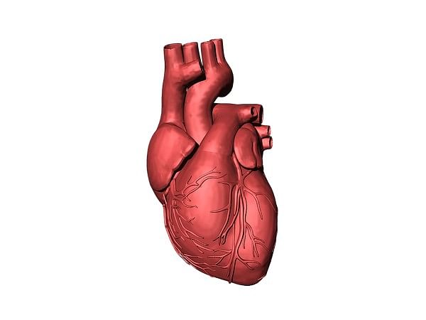Researchers use radiomics to predict heart attacks