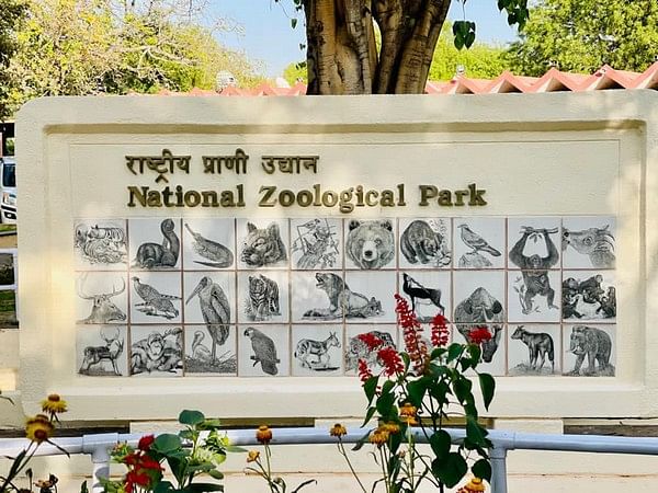 HC directs authorities to act on representation to set up inquiry over  animal deaths in Delhi Zoo – ThePrint – ANIFeed