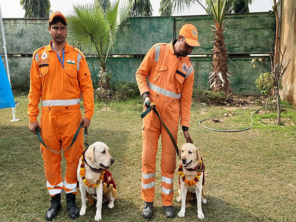 NDRF team, dog squad members Rambo and Honey return to India after 10-day rescue operation in quake-hit Turkey