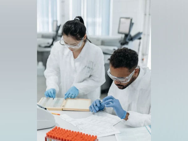 Researchers give new insight into human cognition, origins of brain disorders