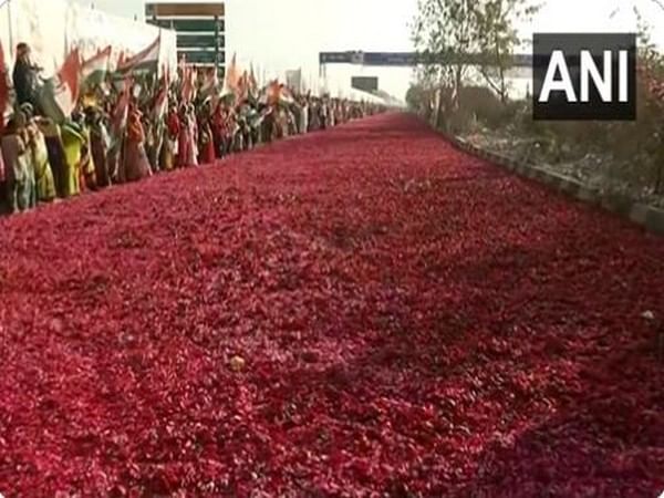 Congress plenary session: Street paved with flower petals to welcome Priyanka Gandhi in Raipur