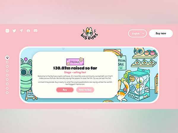 What does Big Eyes have to say throughout its USD 30M presale journey? 
