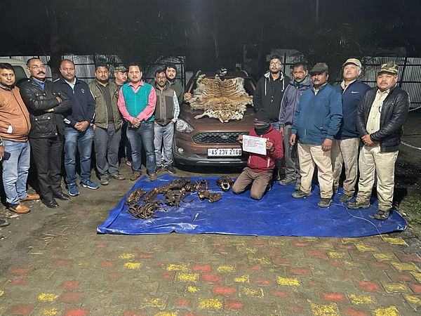 Poacher held with multiple tiger parts from Tinsukia: Assam Forest Department