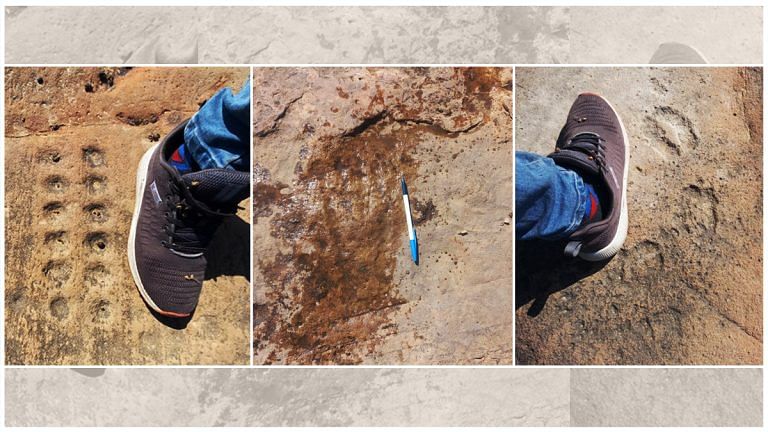 After Stone-Age rock carvings found in Aravallis, growing calls for protection, deeper study