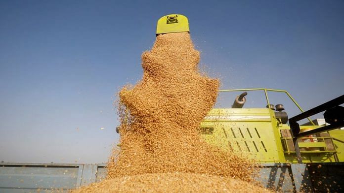 A combine deposits harvested wheat in a tractor trolley at a field on the outskirts of Ahmedabad, India, on 16 March, 2022 | Reuters