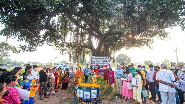 694 Nizam-era banyan trees in way of NH 163 widening. Telangana citizens fight NHAI