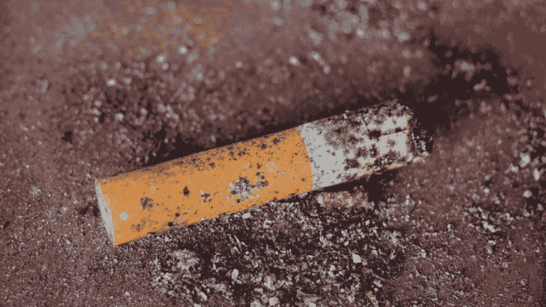 1.7 lakh tonnes of waste per year — ICMR-AIIMS study calculates environmental toll of tobacco use