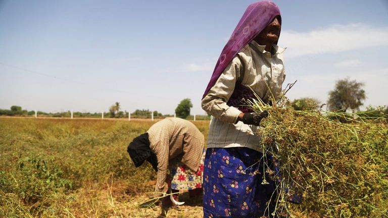 Budget 2023: Govt introduces startup fund for young agri-entrepreneurs, idea long pushed by RSS